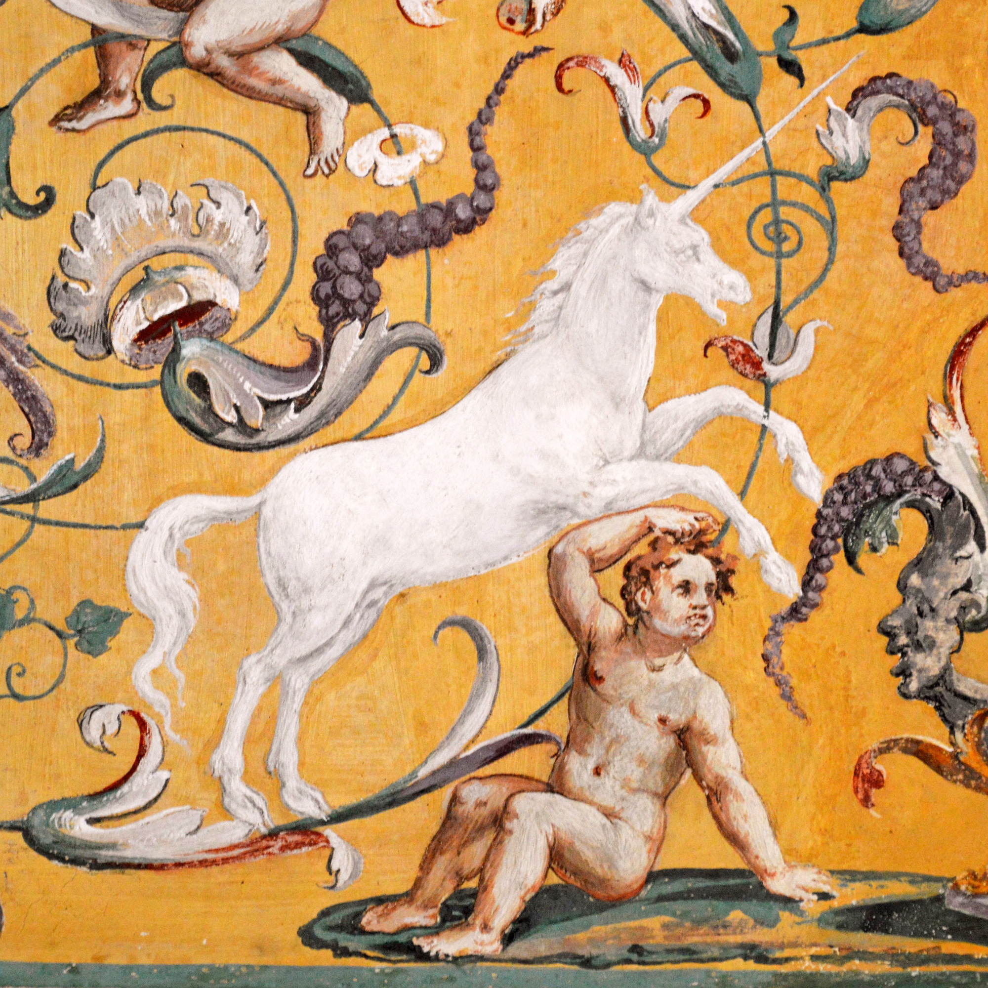 Unicorni e poteri curativi: il valore storico delle leggende a Palazzo Ducale