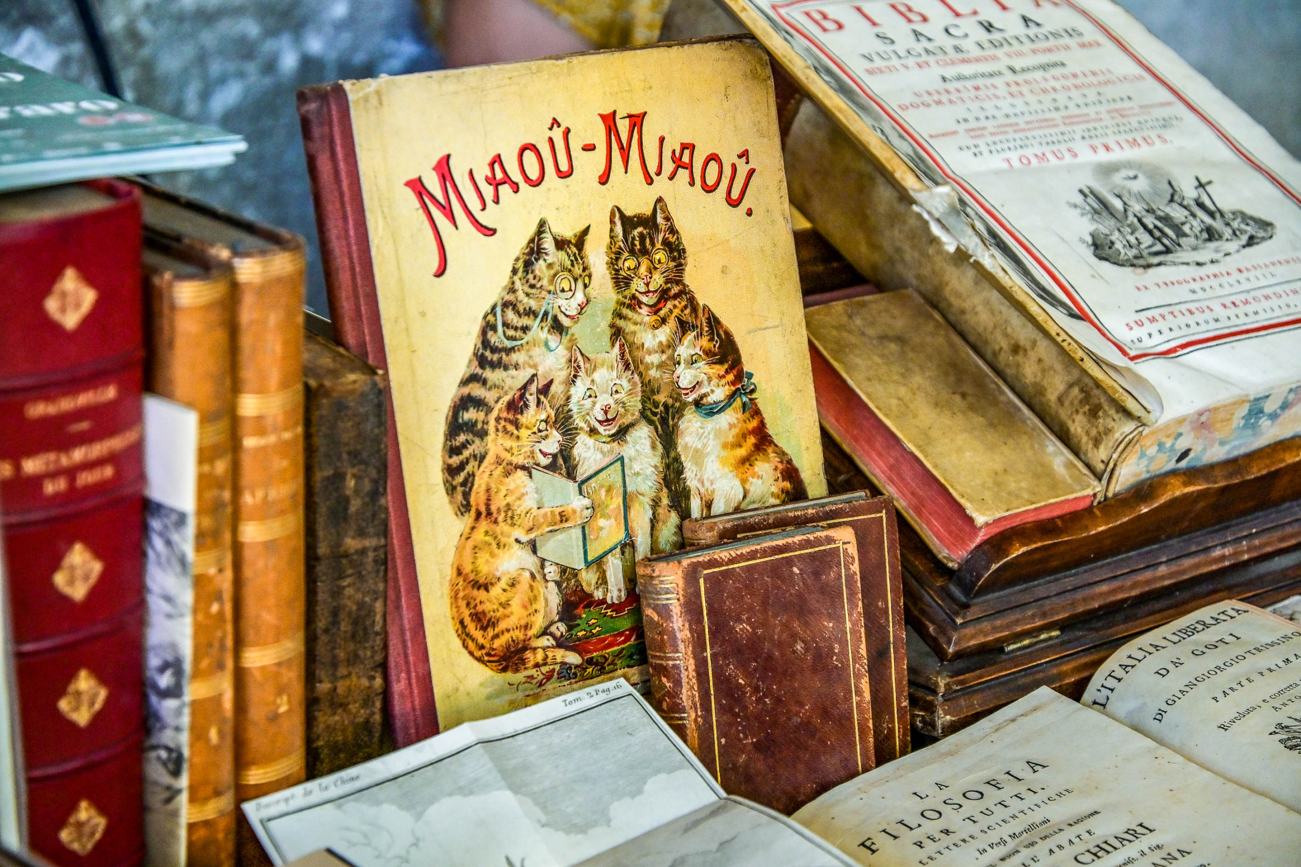 Nuovo appuntamento con il photo contest “Mantova Libri Mappe Stampe: scatta la mostra!”